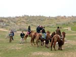 Camel riding